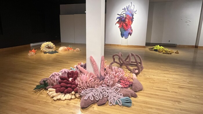 Des œuvres textiles qui ressemblent à des coraux et des créatures marines.