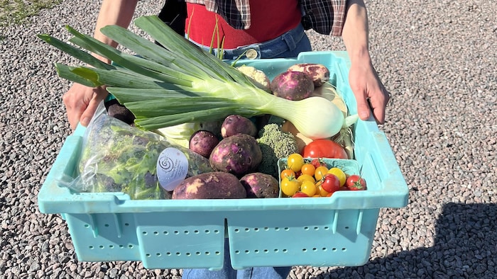 Une femme tient un panier de légumes.