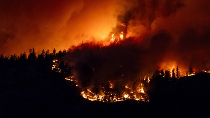 Un feu de forêt au Canada.
