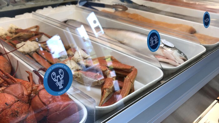 Des autocollants bleus sont collés devant des assiettes de service du comptoir d'une poissonnerie