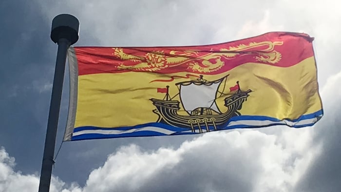Un drapeau flottant au vent.