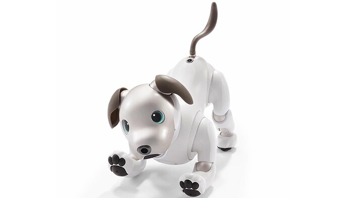 Ce petit chien robot peut-il vous remonter le moral?