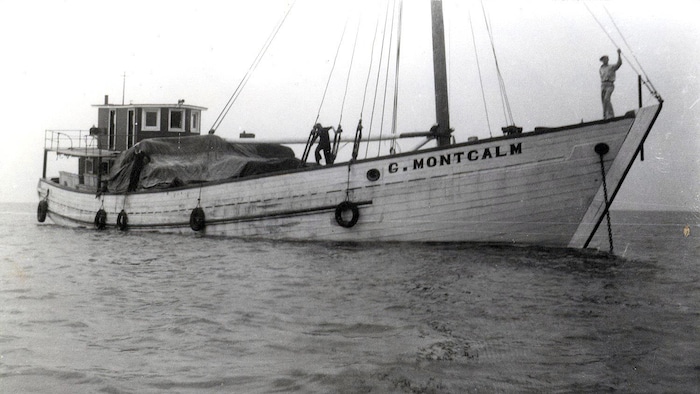 Une goélette se trouve sur le fleuve Saint-Laurent.