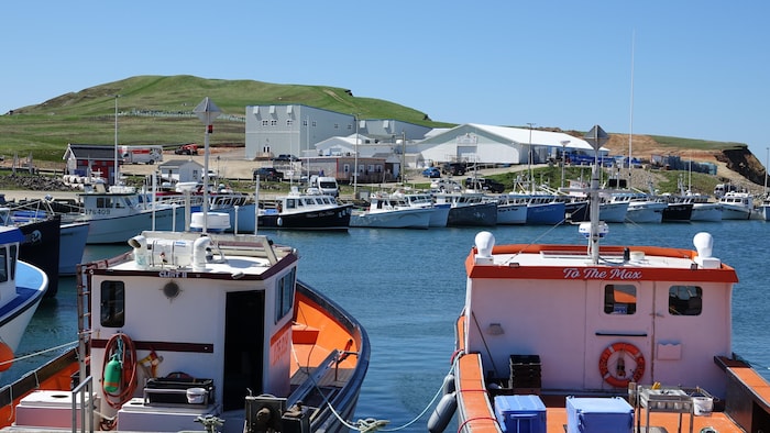 Le port de pêche de Grosse-Île aux îles de la Madeleine rempli de homardiers.