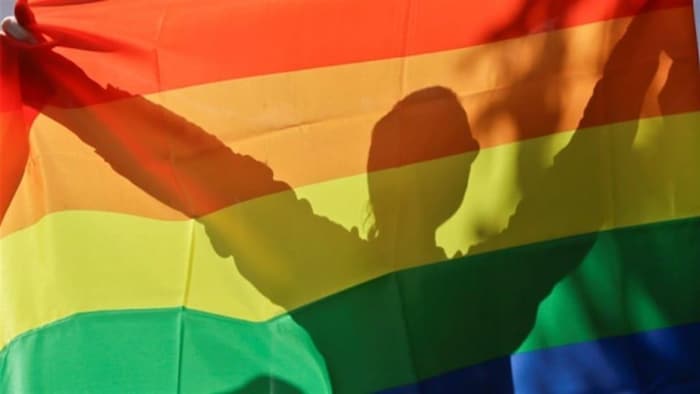 Drapeau aux couleurs LGBT tenu à bout de bras par une personne placée derrière.