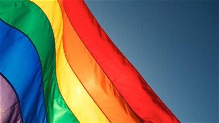 Le drapeau arc-en-ciel, emblème de la lutte pour les droits de la communauté L G B T Q.
