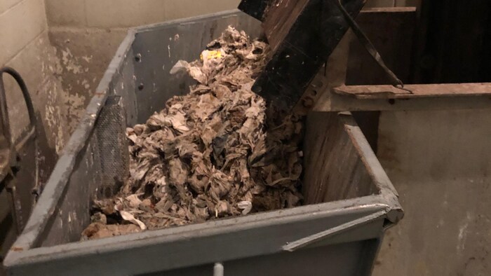 Des lingettes dans un conteneur.
