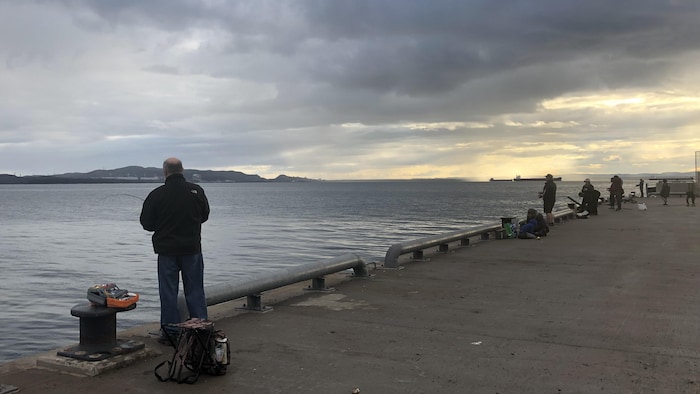 Une dizaine de pêcheurs attendent le maquereau au quai des Croisières à Sept-Îles.