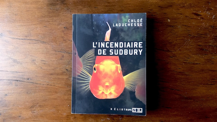 Page couverture du roman avec l'image d'un poisson doré qui ressemble à une flamme.