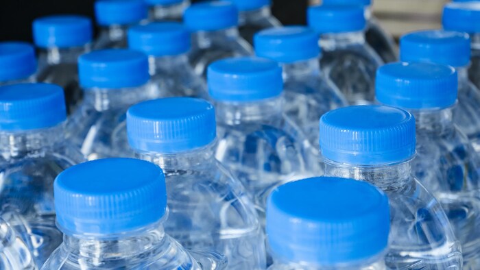 Des bouteilles d'eau en plastique sont disposées les unes à côté des autres.