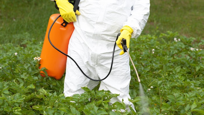 Pesticides : 6 questions sur l'interdiction du glyphosate