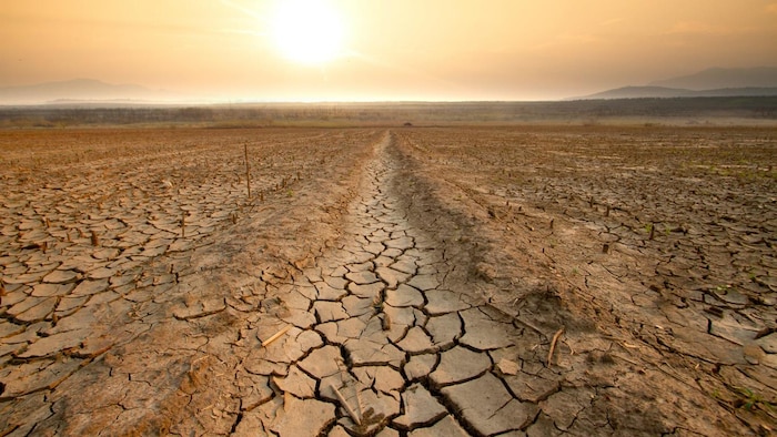 La COP29 rappelle l’importance de la sécurité de l’eau | Radio-Canada