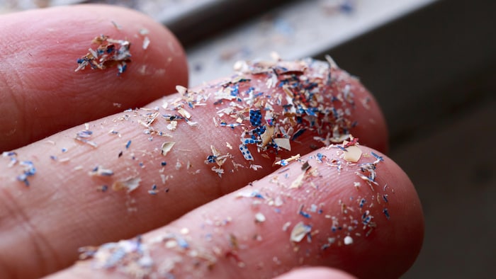 Des microplastiques en démonstration sur les doigts d'une personne.