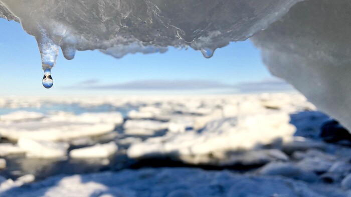 En avant-plan, un glacier qui fond. En arriere-plan, un cours d'eau avec de gros morceaux de glace.