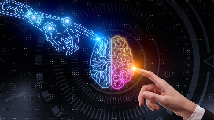 Illustration en trois dimensions d'une main humaine et d'une main robotisée pointant toutes deux l'index vers un cerveau multicolore.
