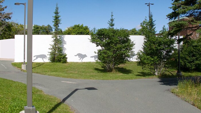 Des loups gros peints sur un mur blanc à l'extérieur.