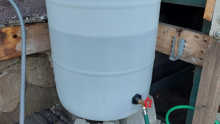 Un baril de récupération d'eau de pluie est placé sur des blocs de ciment prêt à déverser son contenu par le biais d'un robinet rouge. 