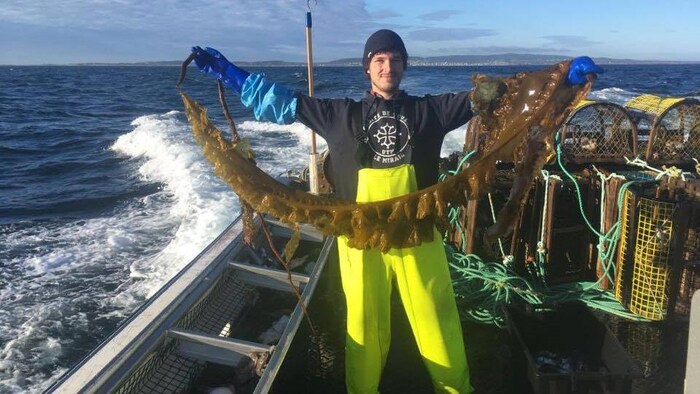 Un pêcheur debout sur un bateau tient une grande algue.