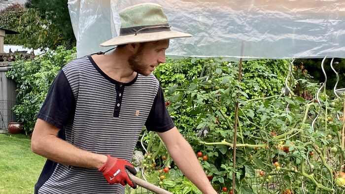 Paul-Antoine Trompette sarcle la terre à l'aide d'une pioche. Des tomates mûrissent en arrière-plan.