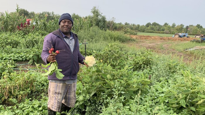 Jonathan Busiku, à sa ferme, tient des légumes dans ses mains.