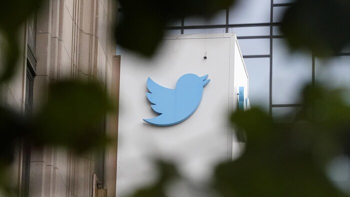 Le logo de Twitter derrière du feuillage.