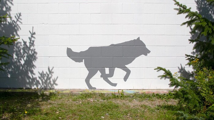 Un loup gris peint sur un mur blanc.