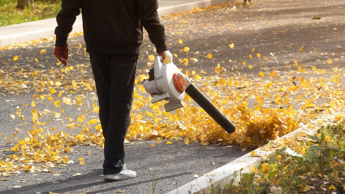Toronto veut bannir les souffleurs de feuilles à essence