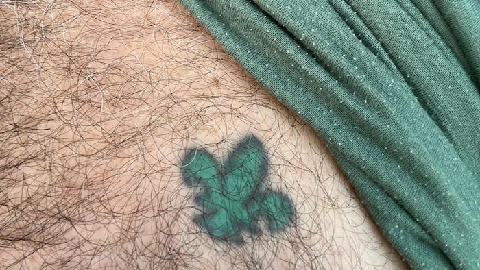 Tatouage d'une fleur de lys verte.