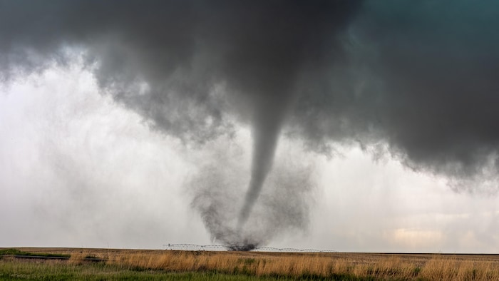 Une tornade tourne dans un champ sous un orage supercellulaire.