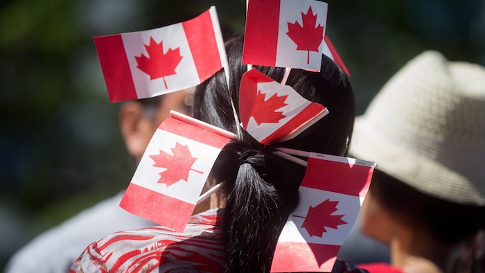 Une femme de dos avec six petits drapeaux du Canada plantés dans les cheveux.