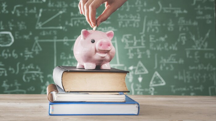 Une personne met une pièce de monnaie dans un cochon, déposé sur des livres.
