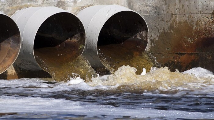 Trois tuyaux déversent des eaux usées.
