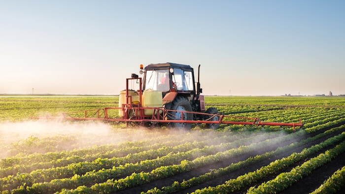 Un tracteur épand des pesticides dans un champ de soya.