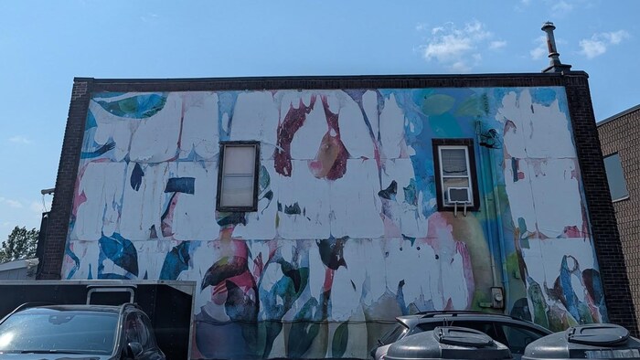 Une murale avec de la peinture délavée.