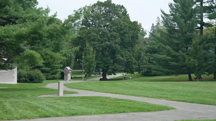 Une piste cyclable passe dans un parc.