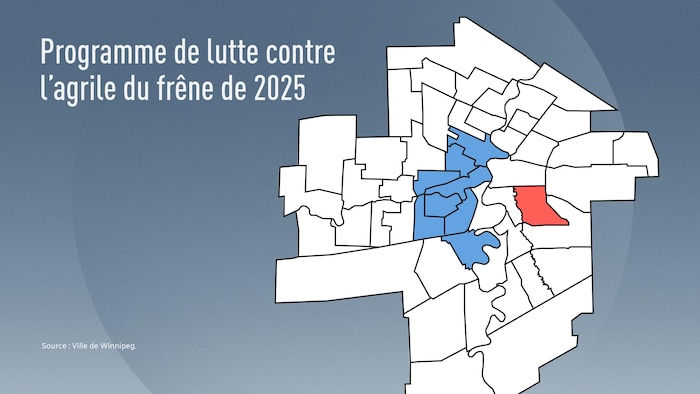 Une carte de la ville de Winnipeg qui montre l'endroit où l'agrile du frêne a été détecté pour la première fois en rouge et les quartiers visés par la Ville cette année en bleu.