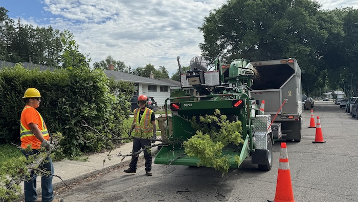Des hommes tiennent des branches à proximité d'un camion.