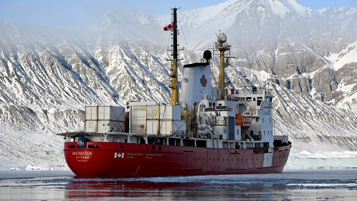 Un brise-glace en pleine mer glacée.