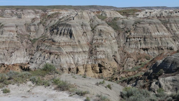 Photo d'un paysage de Badlands au parc provincial Dinosaur en Alberta.