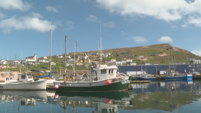 Des bateaux de pêches devant une montagne à Terre-Neuve