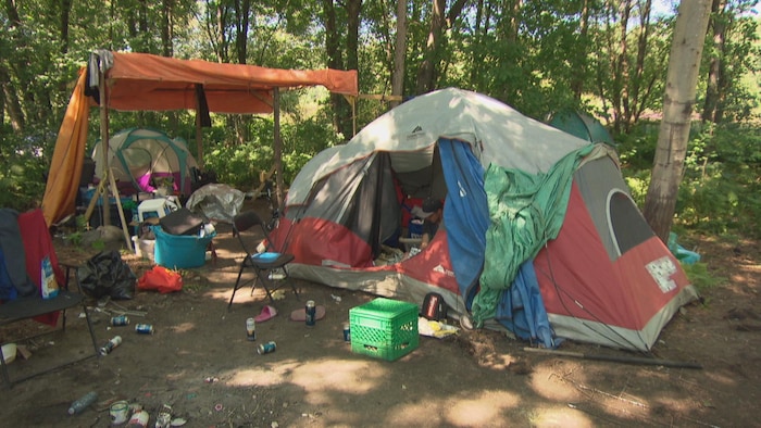 Une tente est installée dans un boisé.
