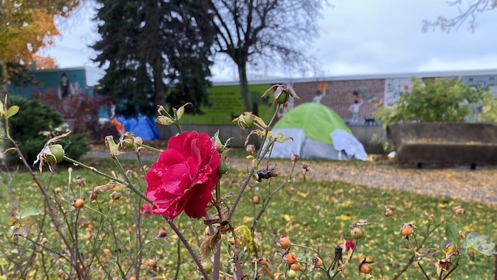 Un campement dans le centre-ville de Granby.