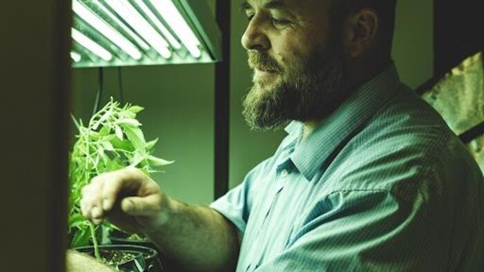 Mike Bartlett en train de s'occuper de ses plants de cannabis dans sa serre sous un néon verdâtre. 