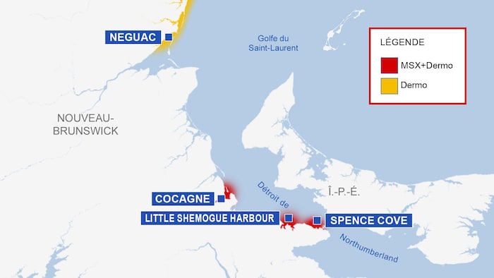 Carte du Nouveau-Brunswick, avec les endroits où il y a la présence de la MSX et du dermo