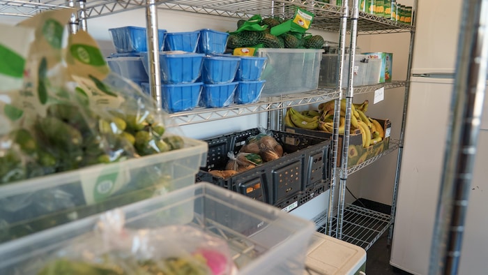Des denrées sur des étagères dans une banque alimentaire.