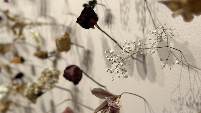 Des fleurs séchées accrochées sur un mur d'une galerie d'art.