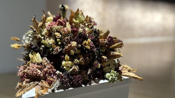 Un bouquet de fleurs séchées dans une galerie d'art.