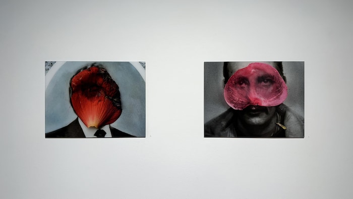 Deux oeuvres accrochées sur un mur d'une galerie d'art.