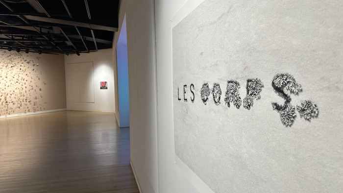 Une oeuvre accrochée sur un mur d'une galerie d'art.