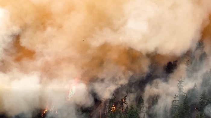 Un drone survole une zone de brûlage dirigé à Brunswick Creek, près de Boston Bar. 